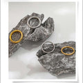 Orbit Ring